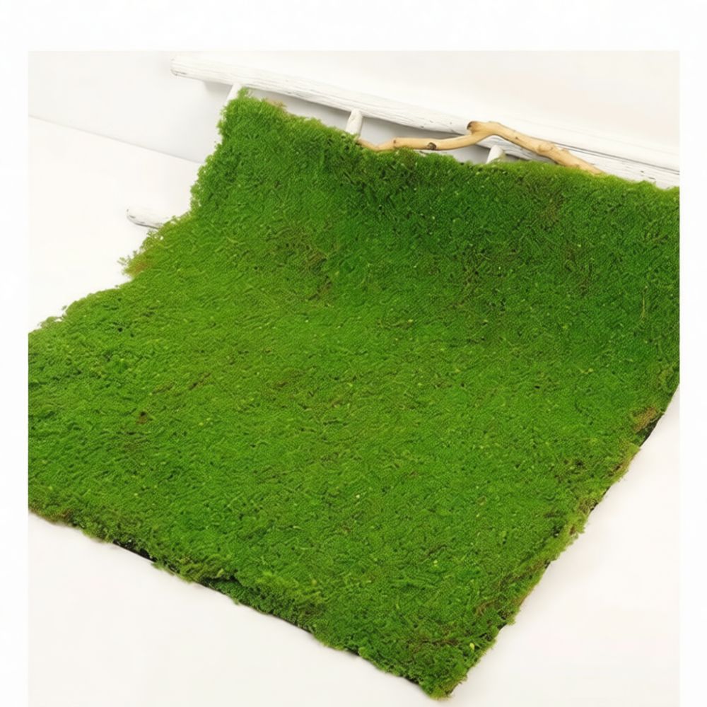Faux Moss Turf Mat Artificial  - Preserved Moss Sheet recension och pris
