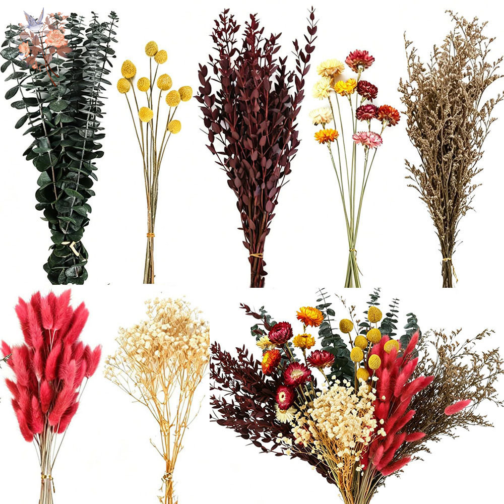 Dried Flowers Bulk Set 7 Kinds - Florist Supply Bulk recension och pris