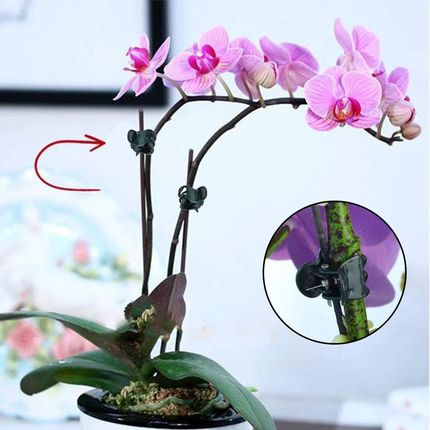 Mini Plant Clips 100PCS Garden - Florist Supply Bulk recension och pris